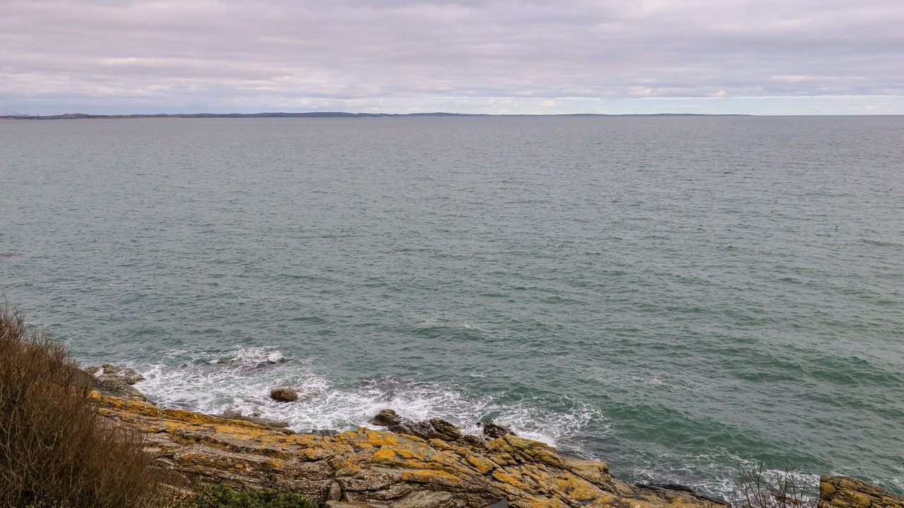 Photo of Outdoor in Newcastle