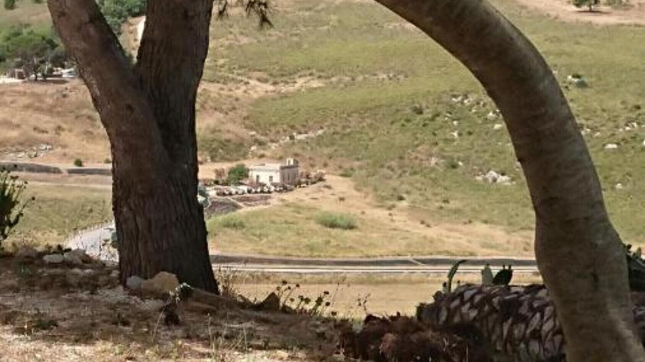 Photo of Others in Calatafimi