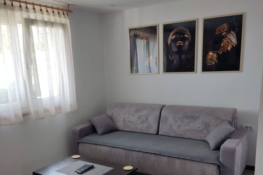 Photo of Livingroom in Petrovaradin