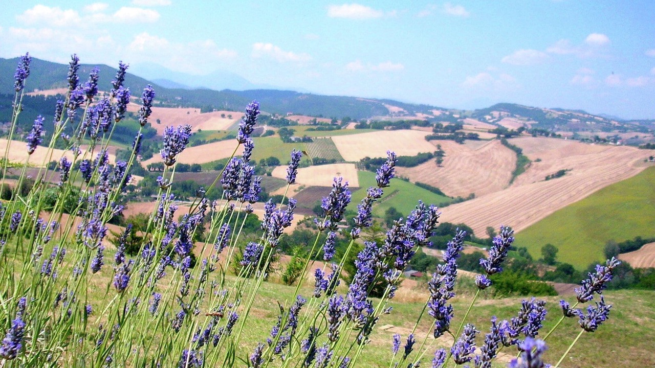 Photo of Outdoor in Arcevia