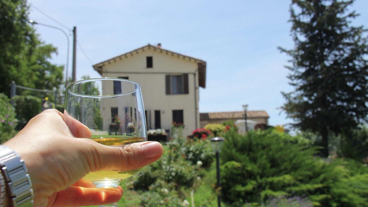 Photo of Outdoor in Arcevia
