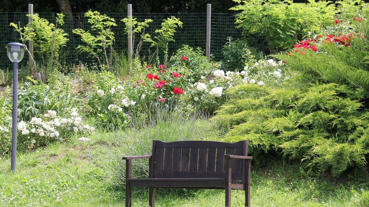 Photo of Outdoor in Arcevia