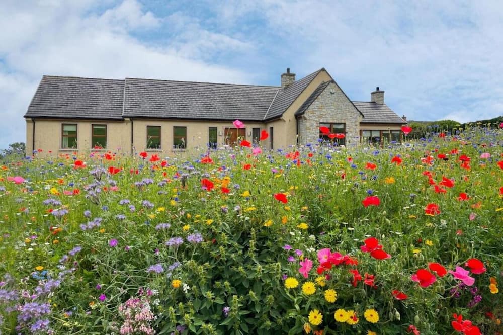 Photo of Outdoor in Dungannon