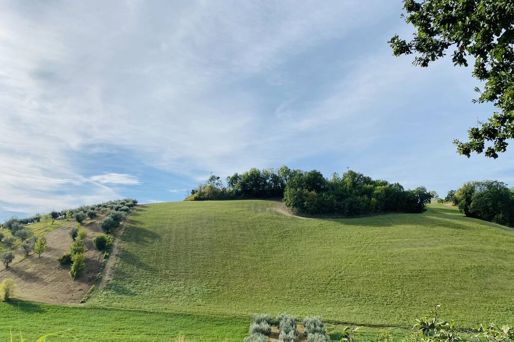 Photo of Others in Castilenti