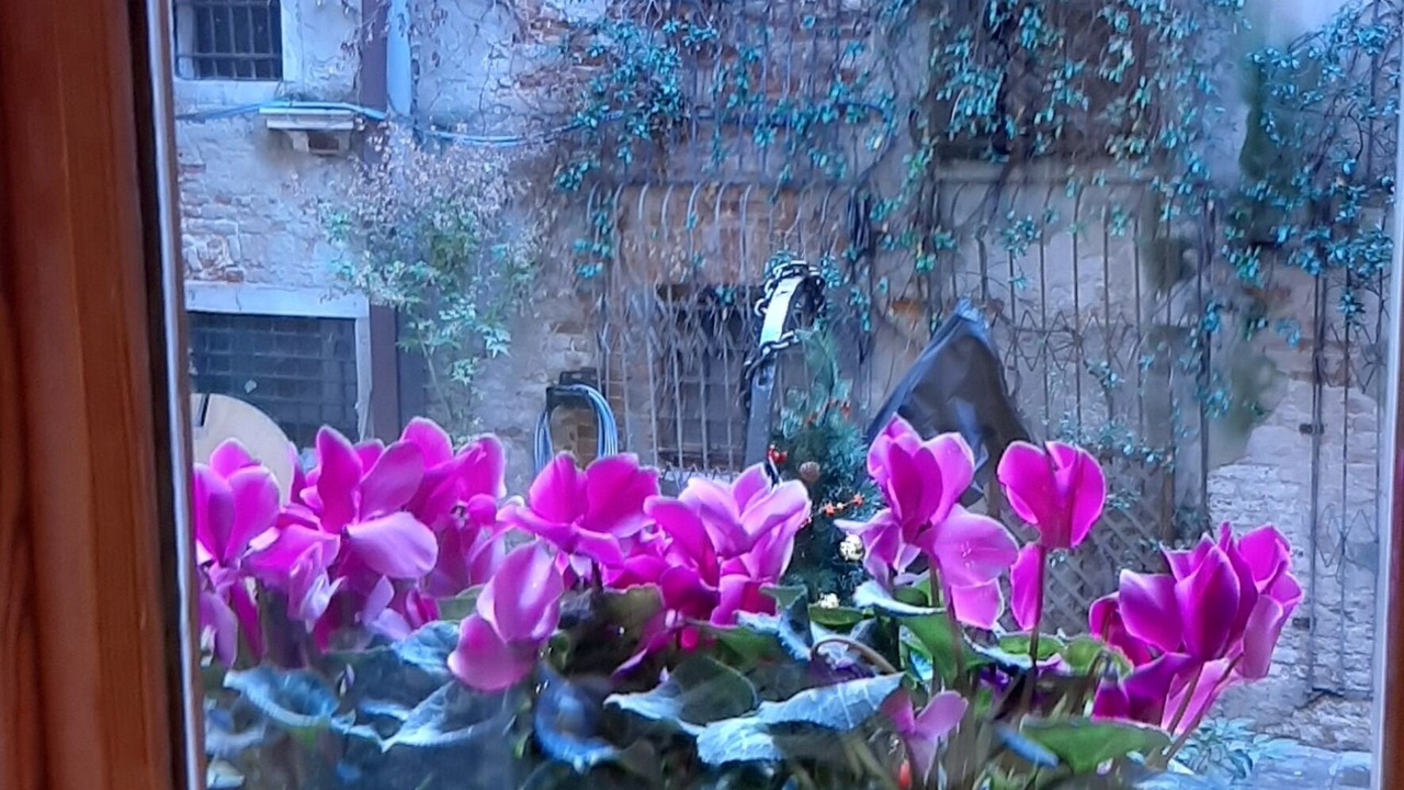 Photo of Outdoor in San Polo