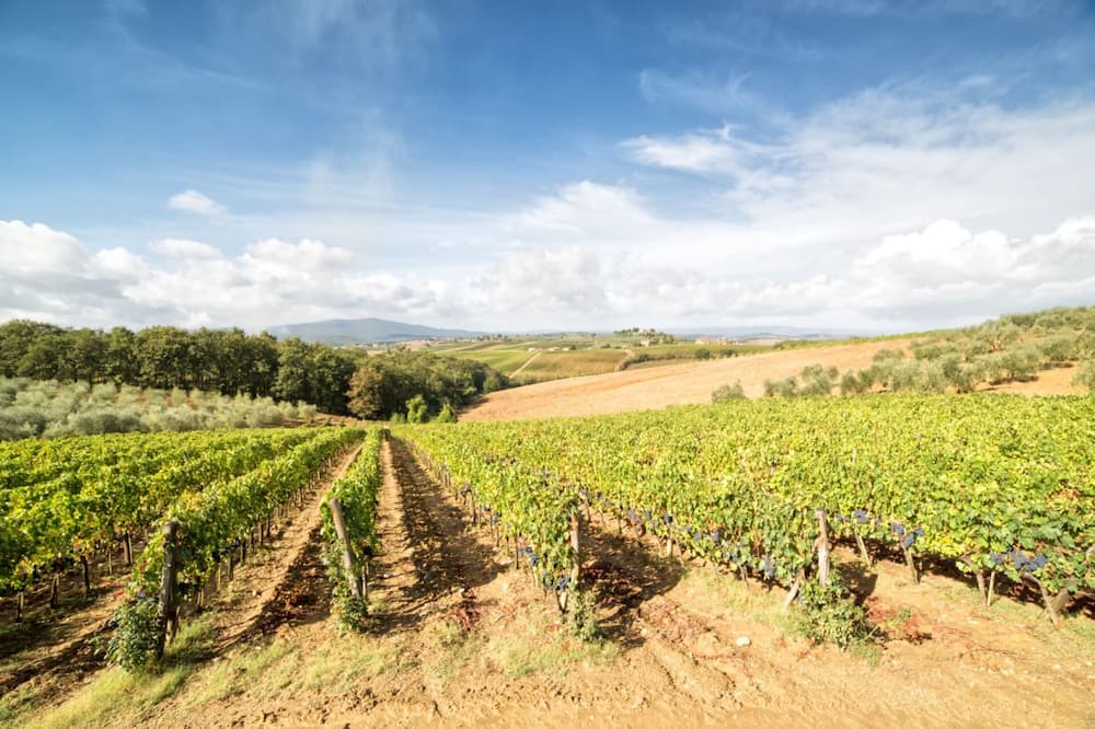 Photo of Outdoor in Monteriggioni
