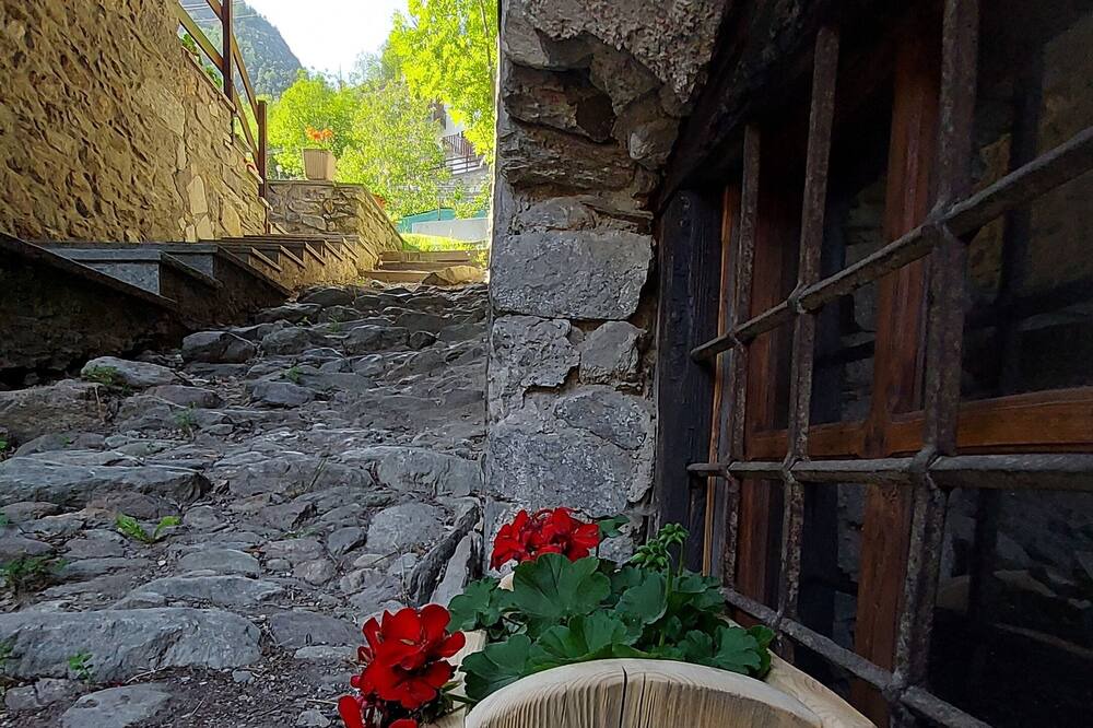Photo of Others in Valpelline