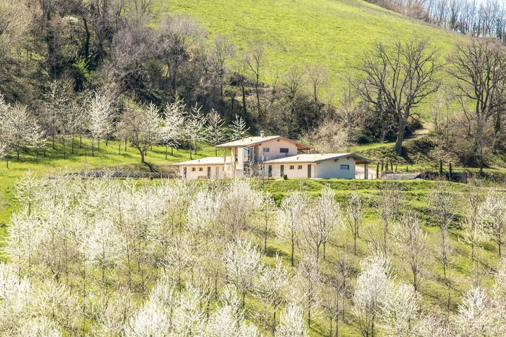 Photo of Outdoor in Falerone