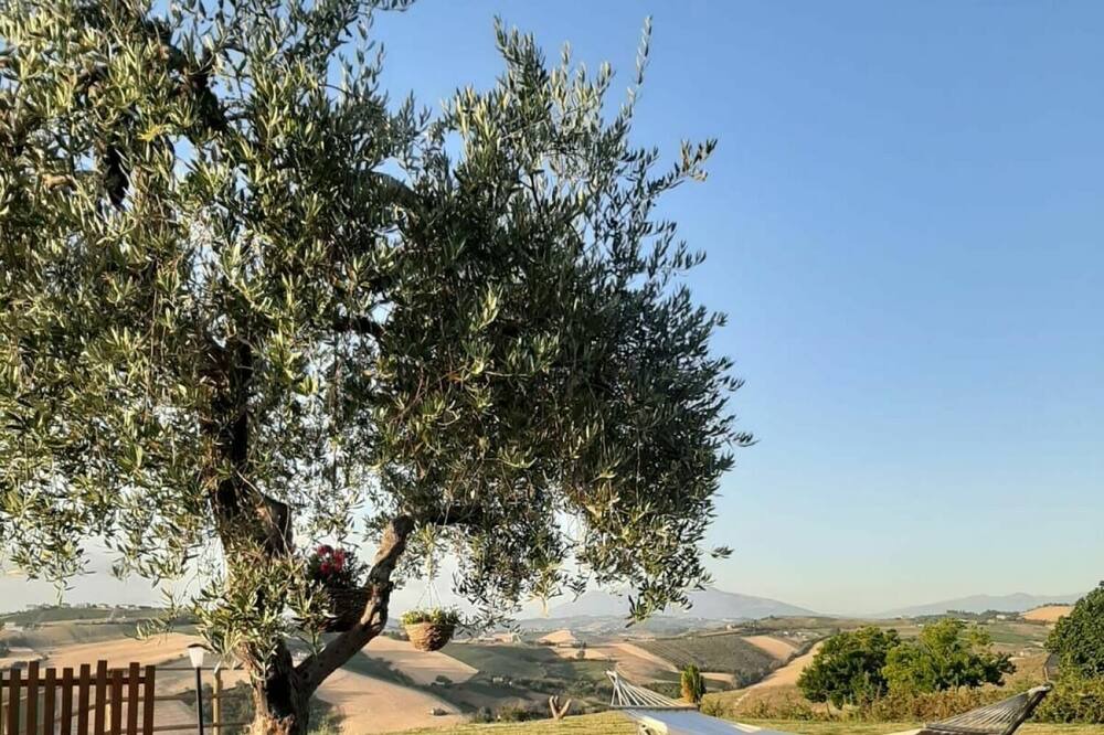 Photo of Outdoor in Carassai