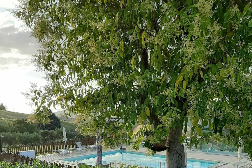 Photo of Outdoor in Carassai