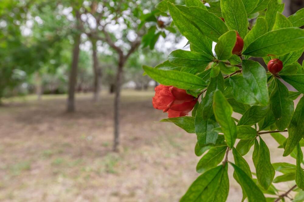 Photo of Outdoor in Carassai