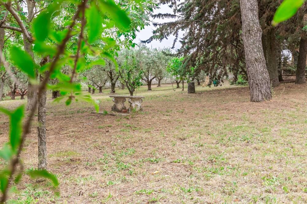 Photo of Outdoor in Carassai