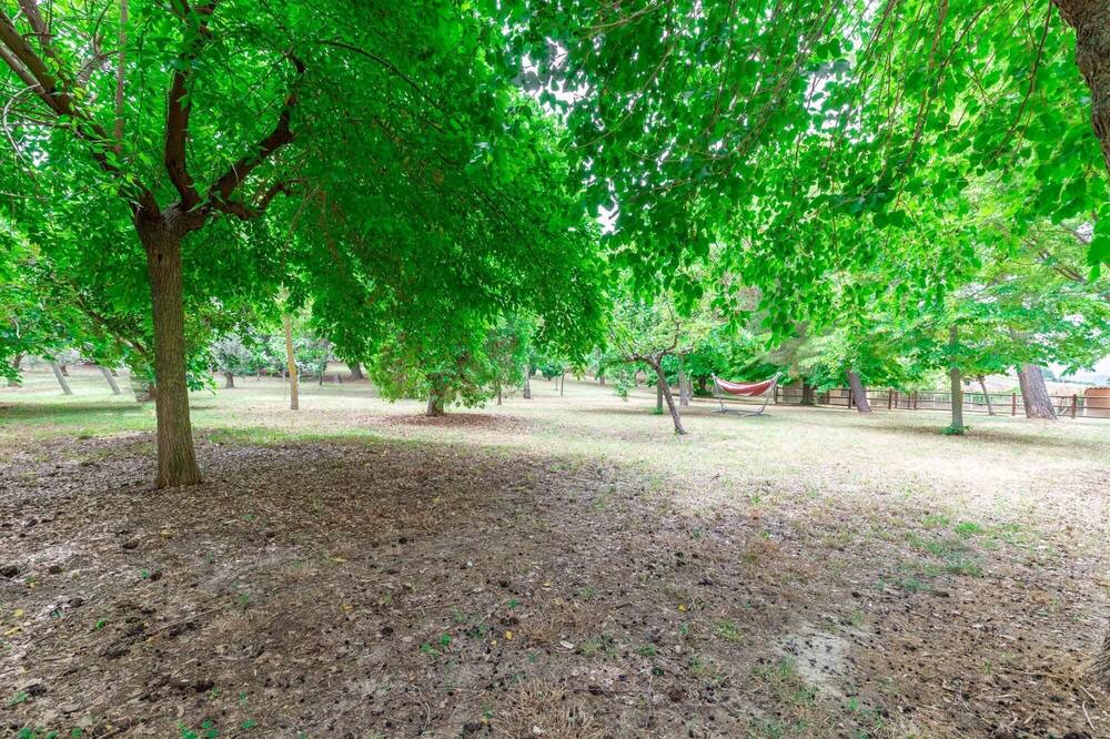 Photo of Outdoor in Carassai