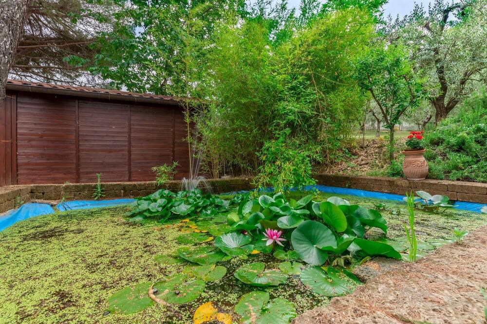 Photo of Outdoor in Carassai
