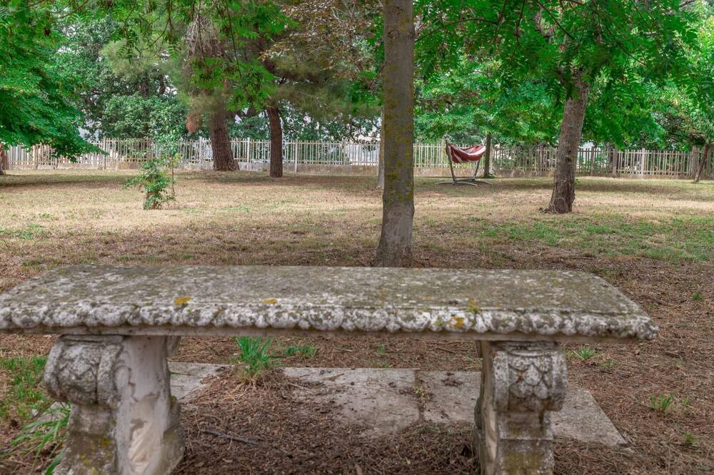Photo of Outdoor in Carassai