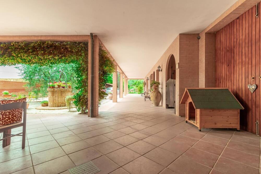 Photo of Outdoor in Carassai
