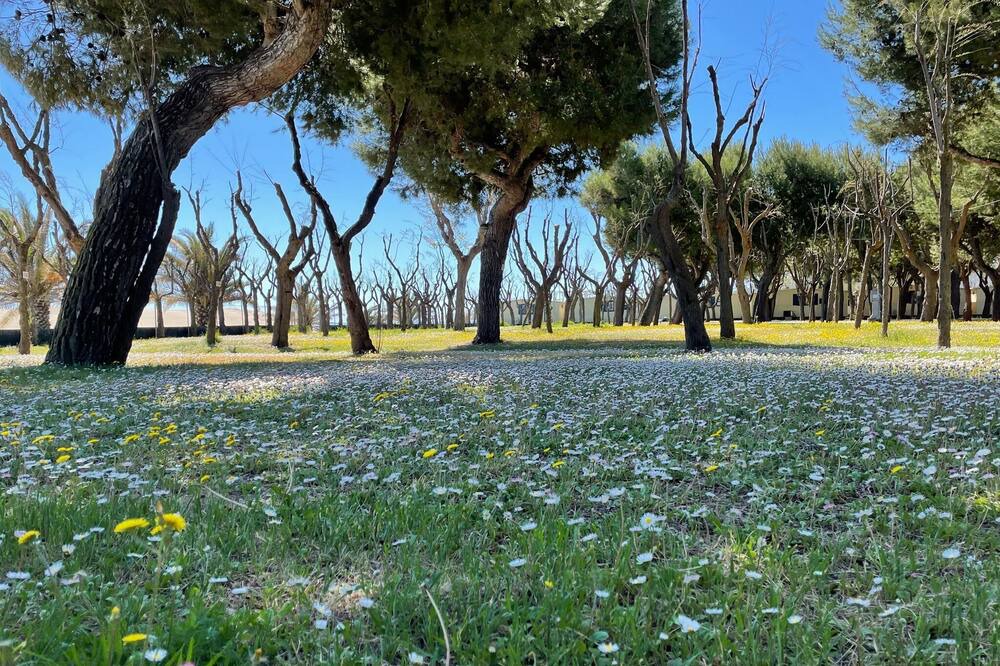 Photo of Outdoor in Cupra Marittima