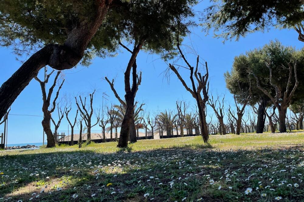 Photo of Outdoor in Cupra Marittima