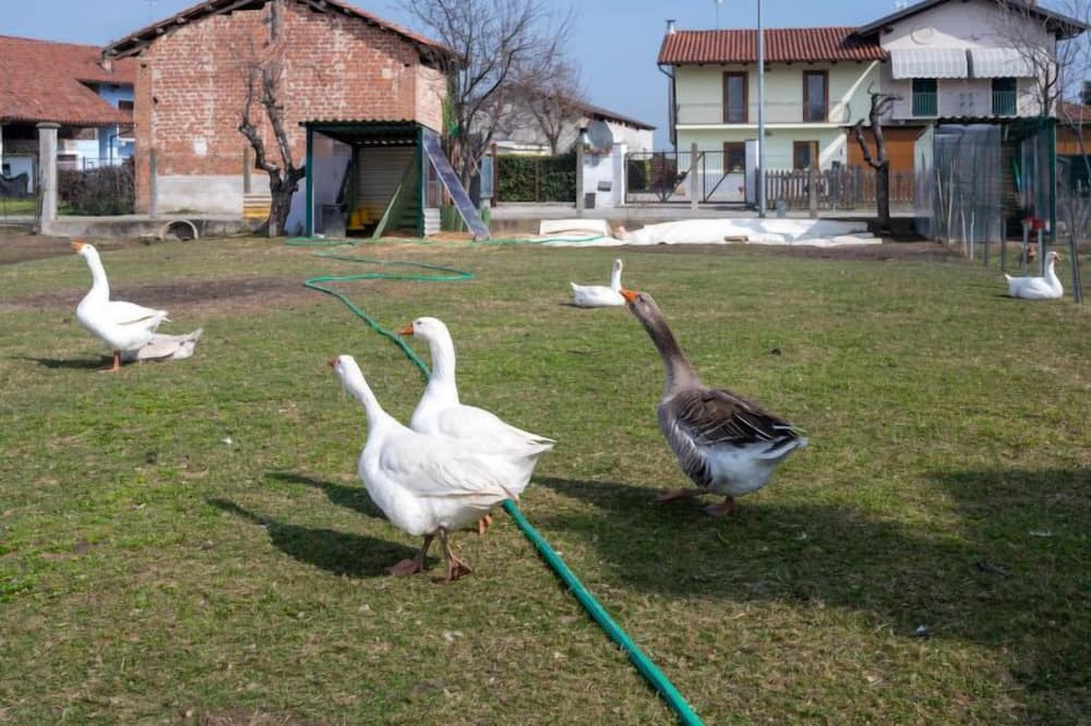 Photo of Outdoor in Trinita