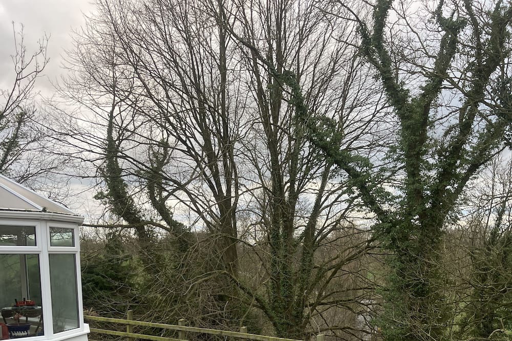 Photo of Outdoor in Ballymoney