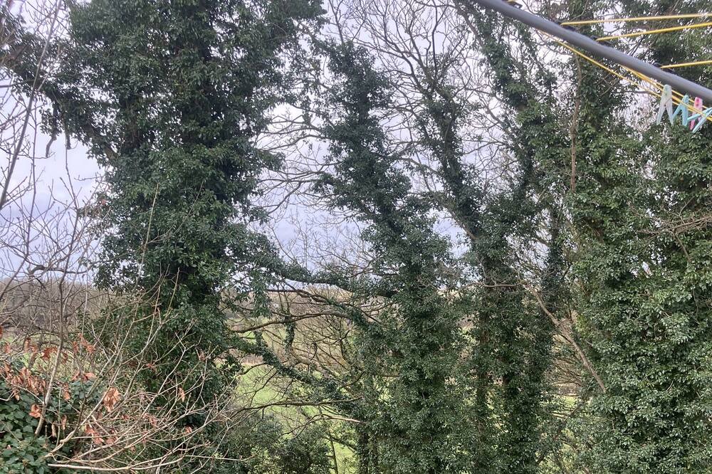 Photo of Outdoor in Ballymoney