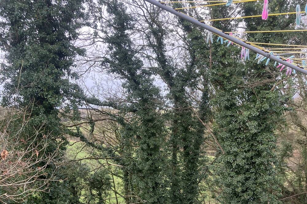 Photo of Outdoor in Ballymoney