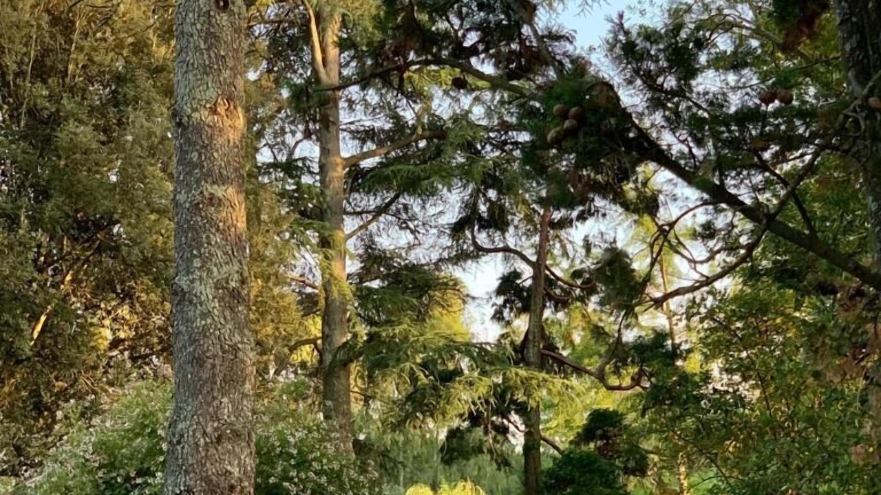 Photo of Outdoor in Lake Bracciano
