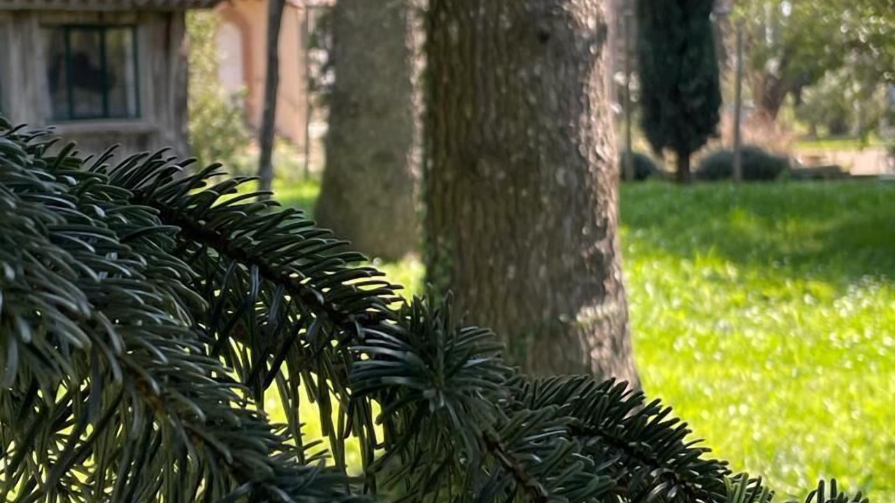 Photo of Outdoor in Lake Bracciano