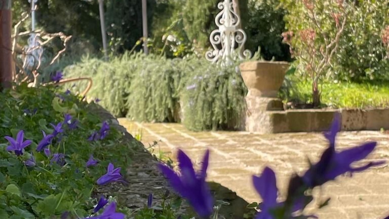 Photo of Outdoor in Lake Bracciano