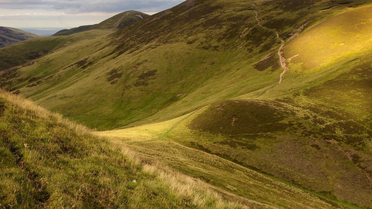 Photo of Others in Penicuik
