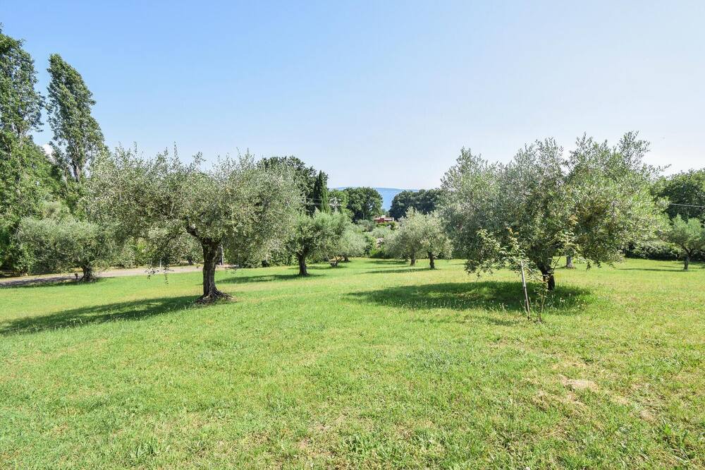 Photo of Others in Poggio