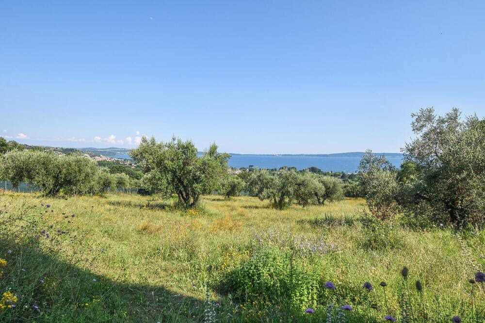 Photo of Others in Poggio