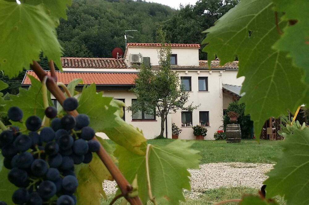 Photo of Outdoor in Gemmano