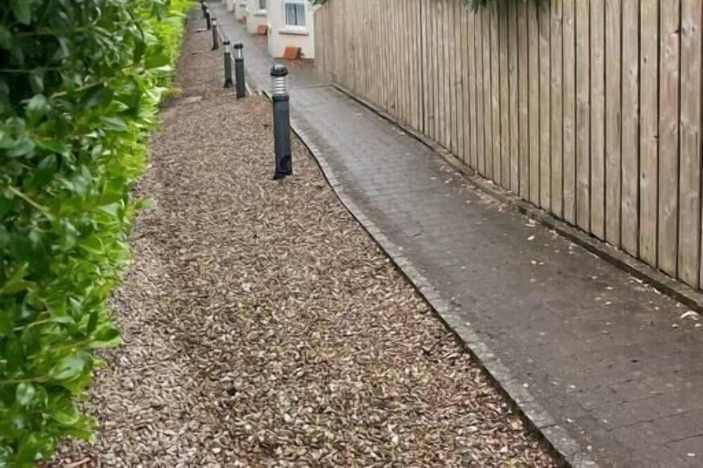 Photo of Outdoor in Ballycastle