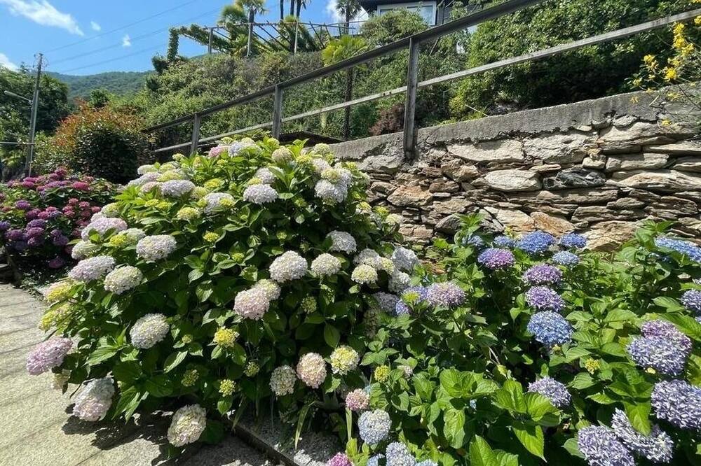 Photo of Outdoor in Brione sopra Minusio