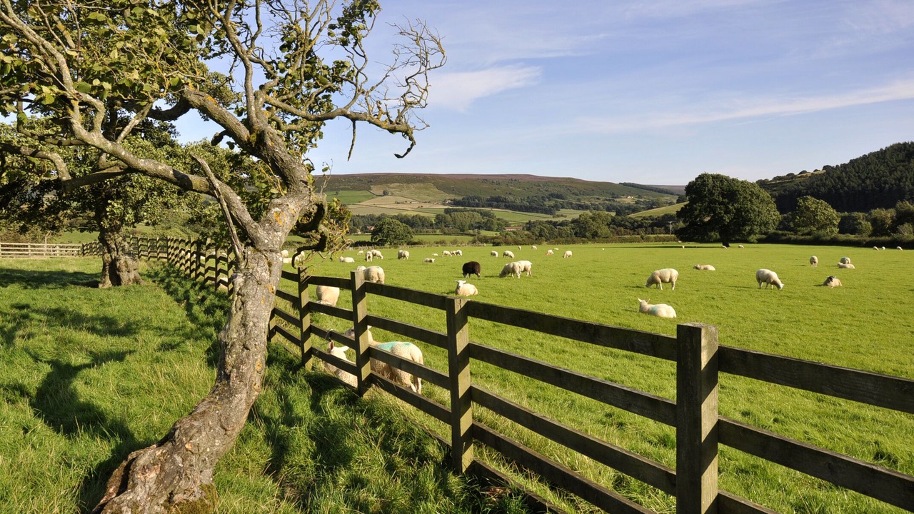 Photo of Others in Chop Gate