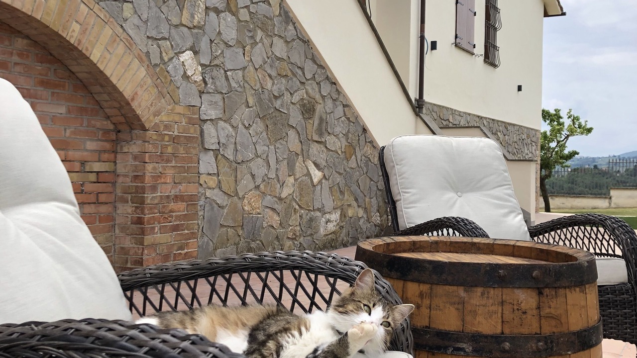 Photo of Outdoor in San Gimignano