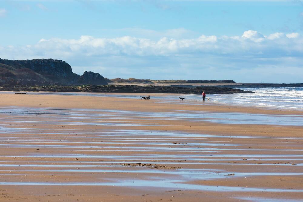 Photo of Others in Gullane