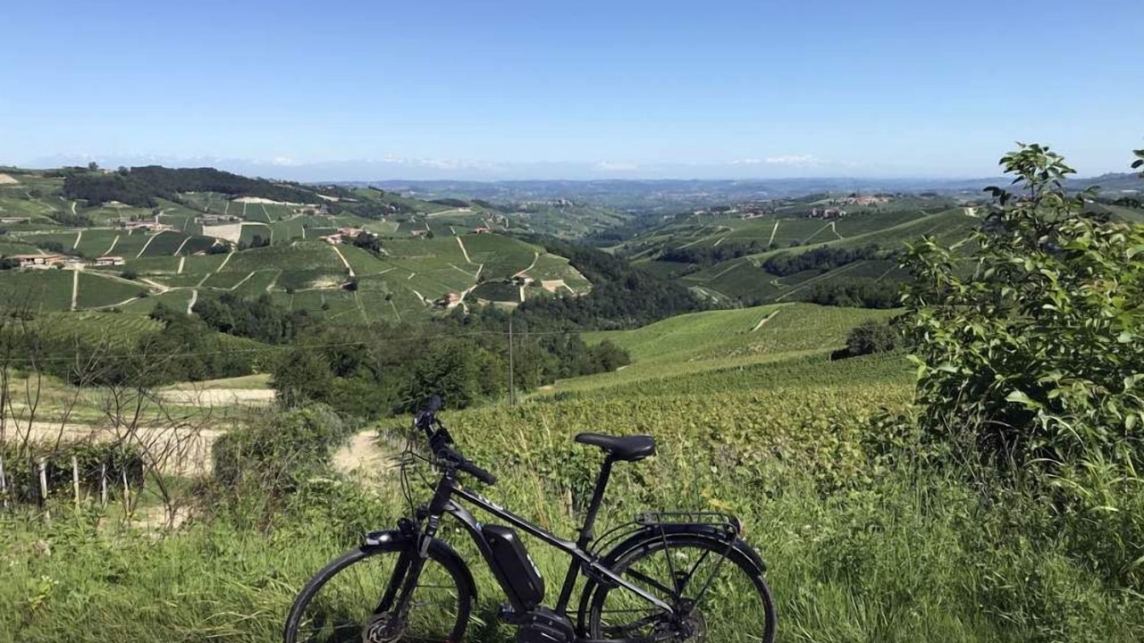 Photo of Outdoor in Montaldo Scarampi