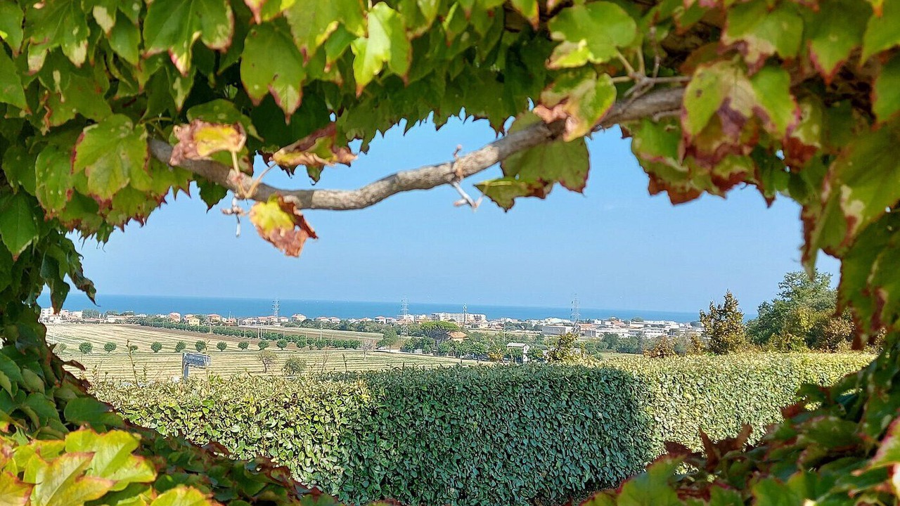 Photo of Others in Senigallia