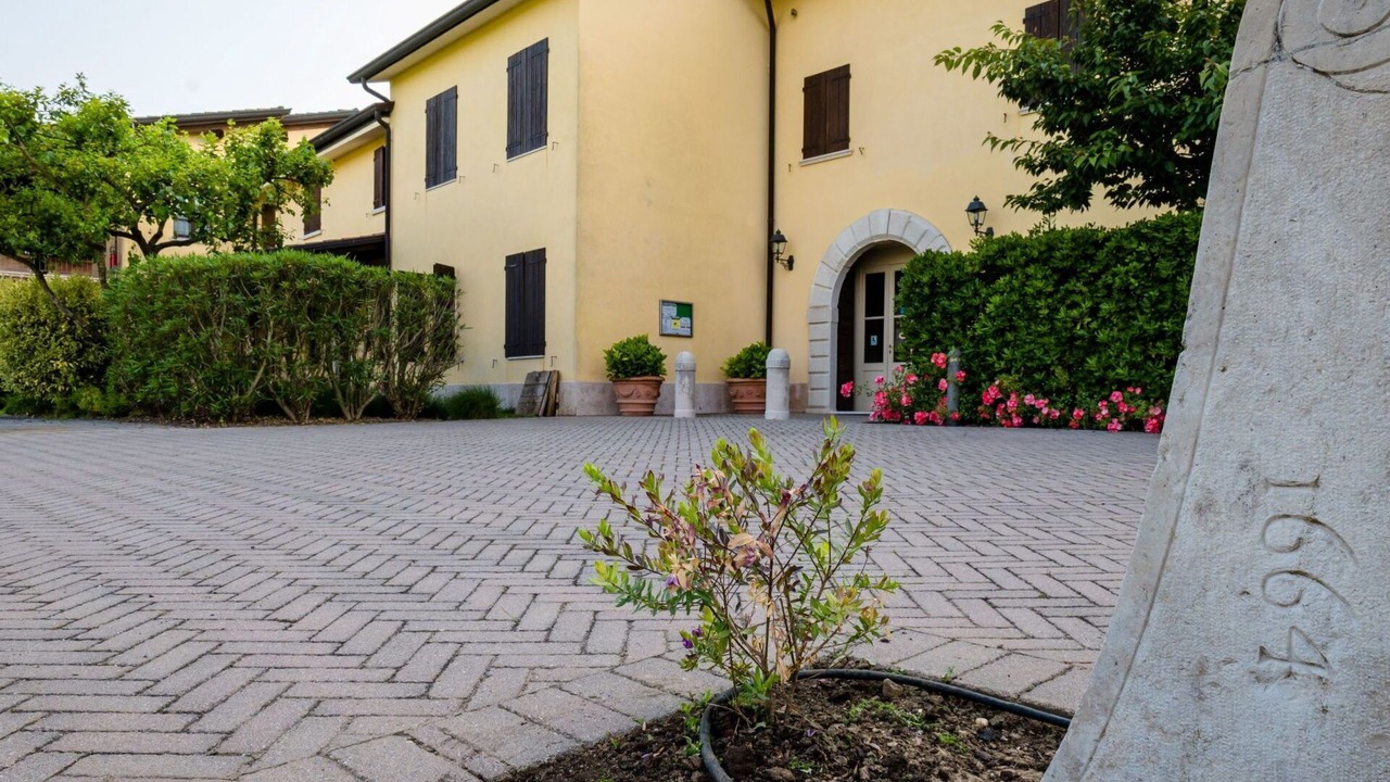 Photo of Outdoor in San Benedetto di Lugana