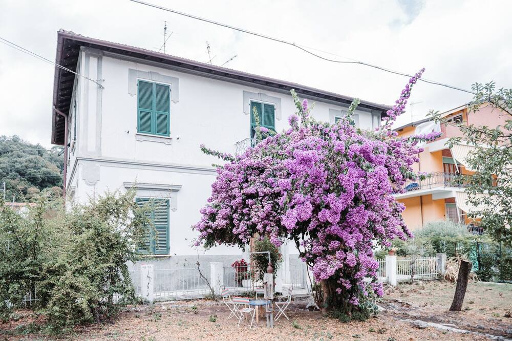 Photo of Outdoor in La Foce