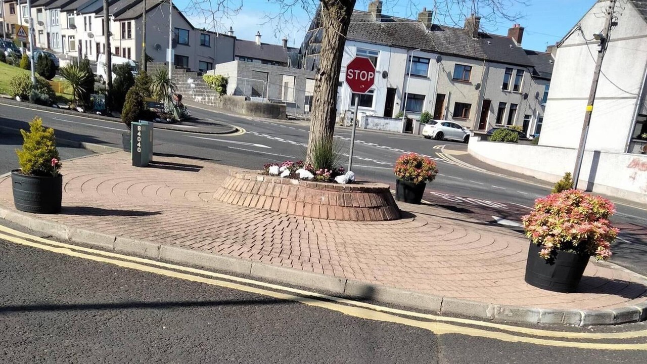 Photo of Others in Larne