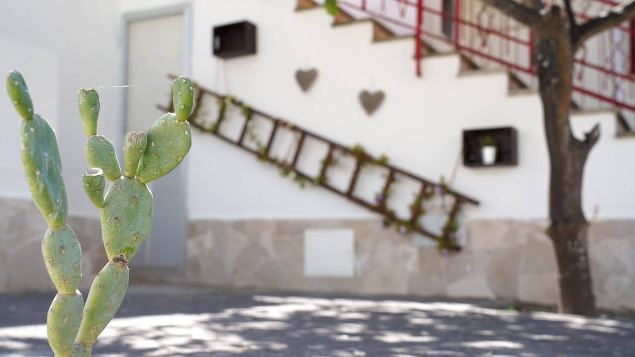 Photo of Outdoor in Pulsano