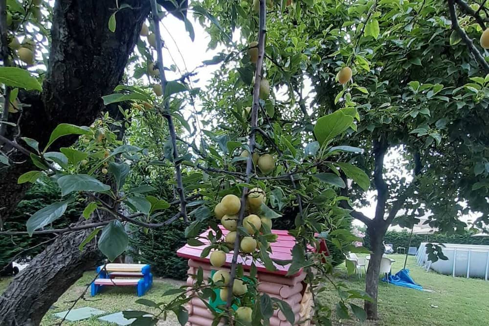 Photo of Outdoor in Sud