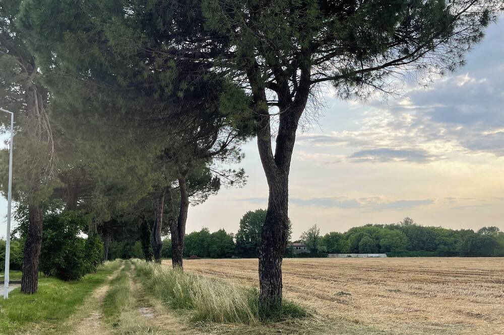 Photo of Outdoor in Zelarino