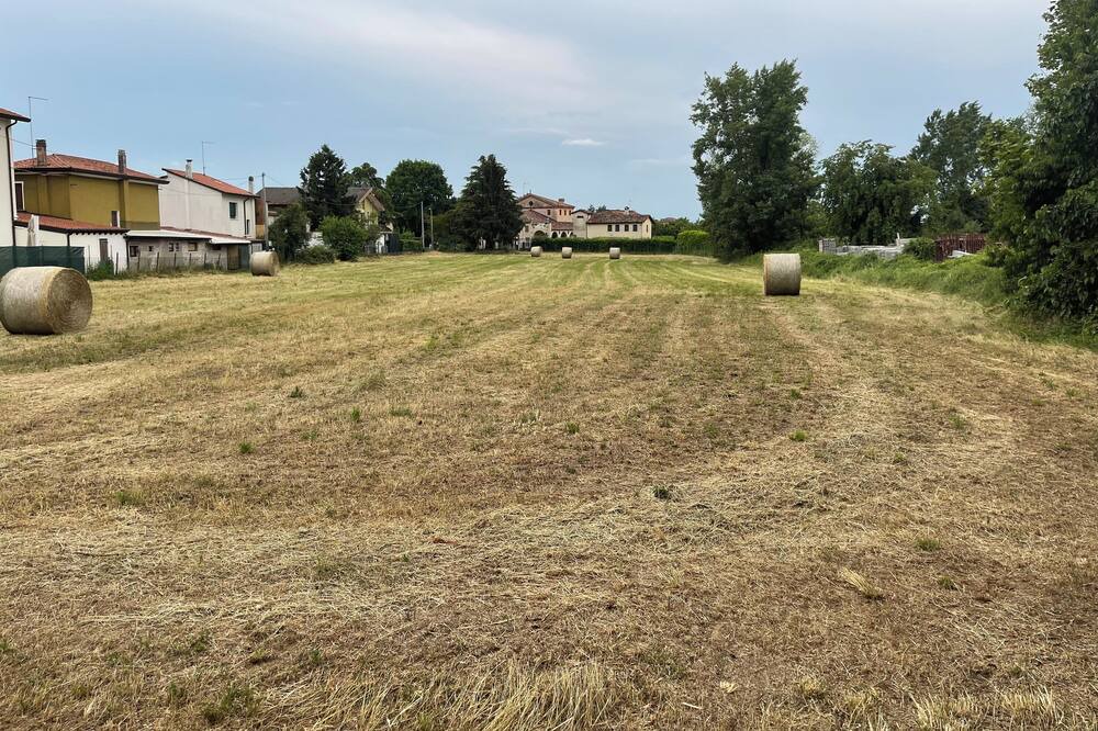 Photo of Others in Zelarino