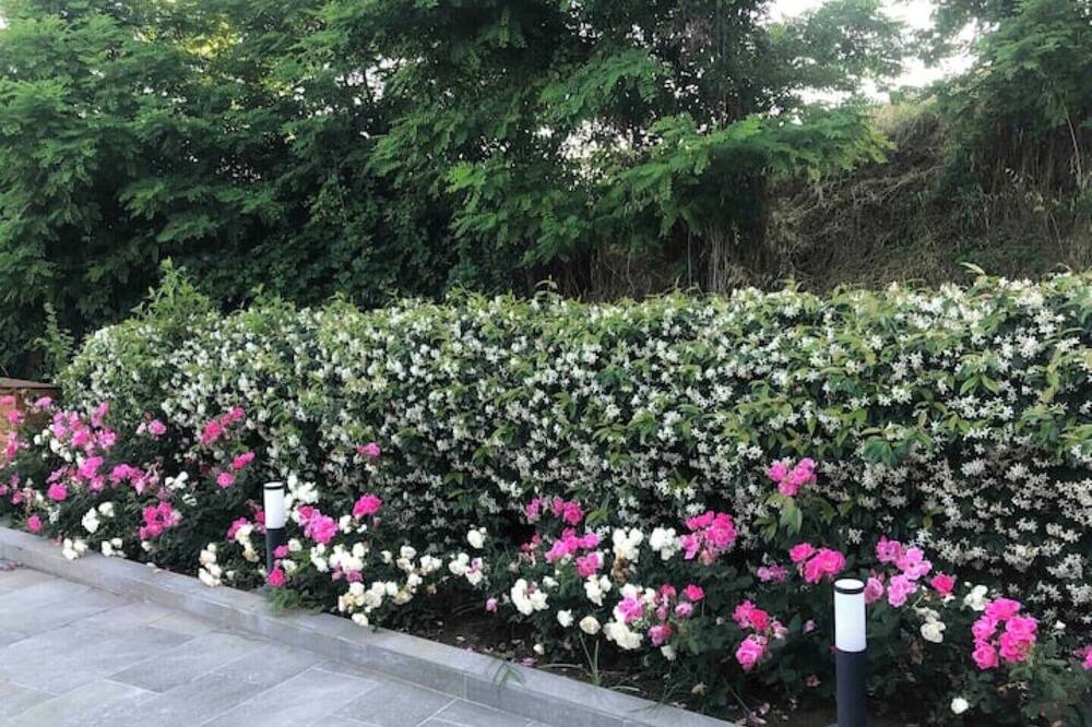 Photo of Outdoor in Belmonte Piceno