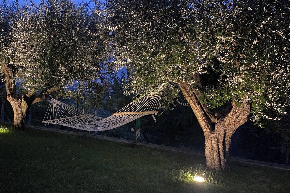 Photo of Outdoor in Belmonte Piceno