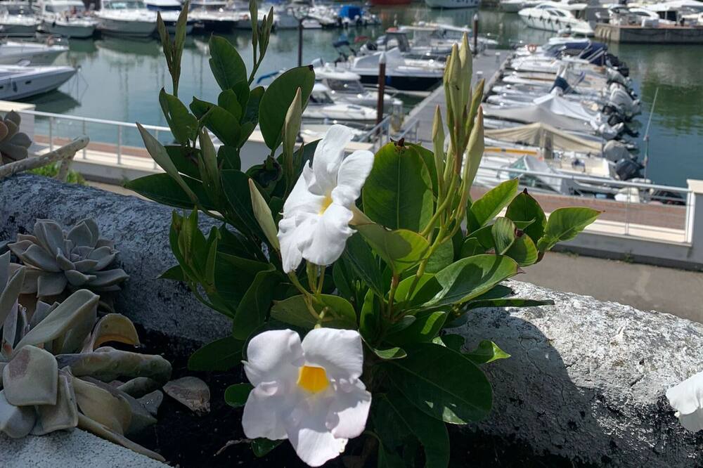 Photo of Outdoor in Misano Adriatico